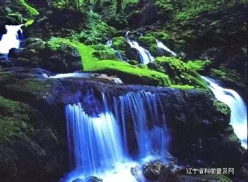 水果时尚风格