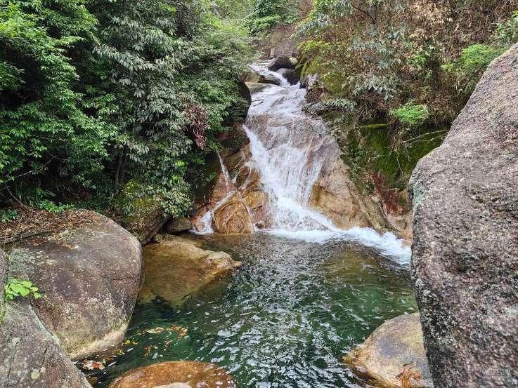 不少蔬菜在制作的过程中要焯水，焯水有哪些好处呢？游戏画面